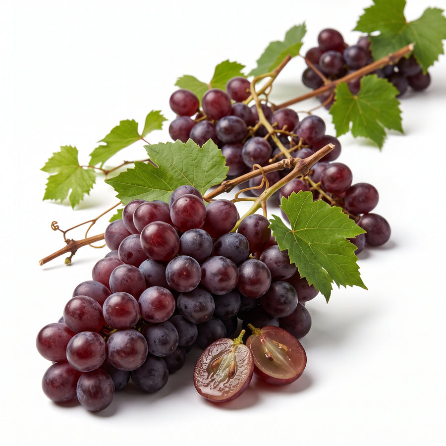 RESVERATROL