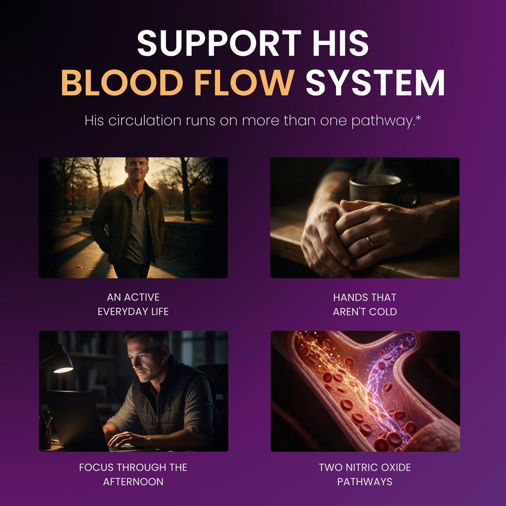 Blood Flow Maximizer - 10-in-1 - Premium Circulation Support