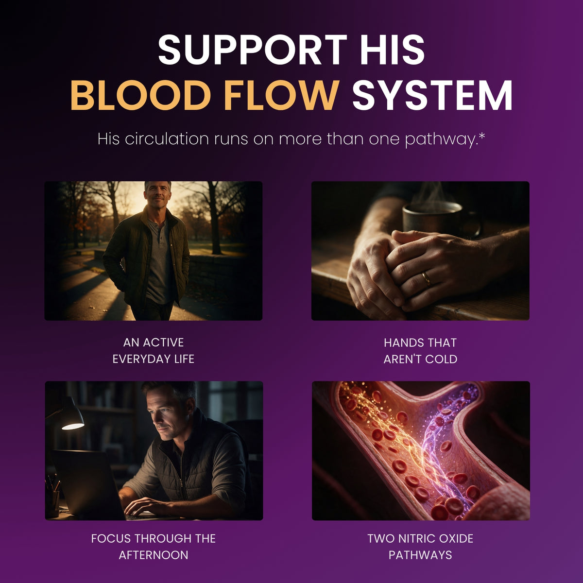 Blood Flow Maximizer - 10-in-1 - Premium Circulation Support